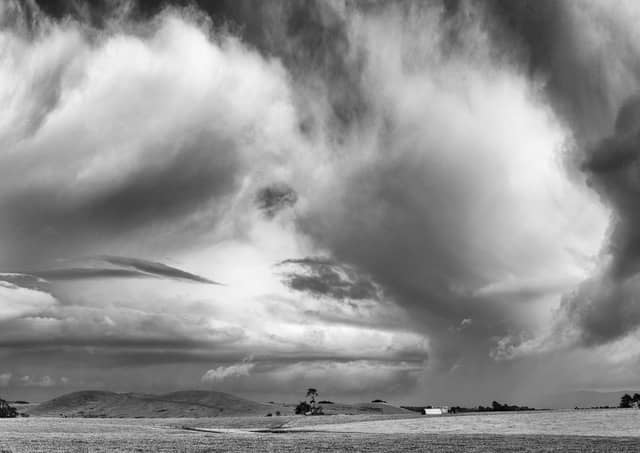 Wild Skies - Christine Jacobson - Merit